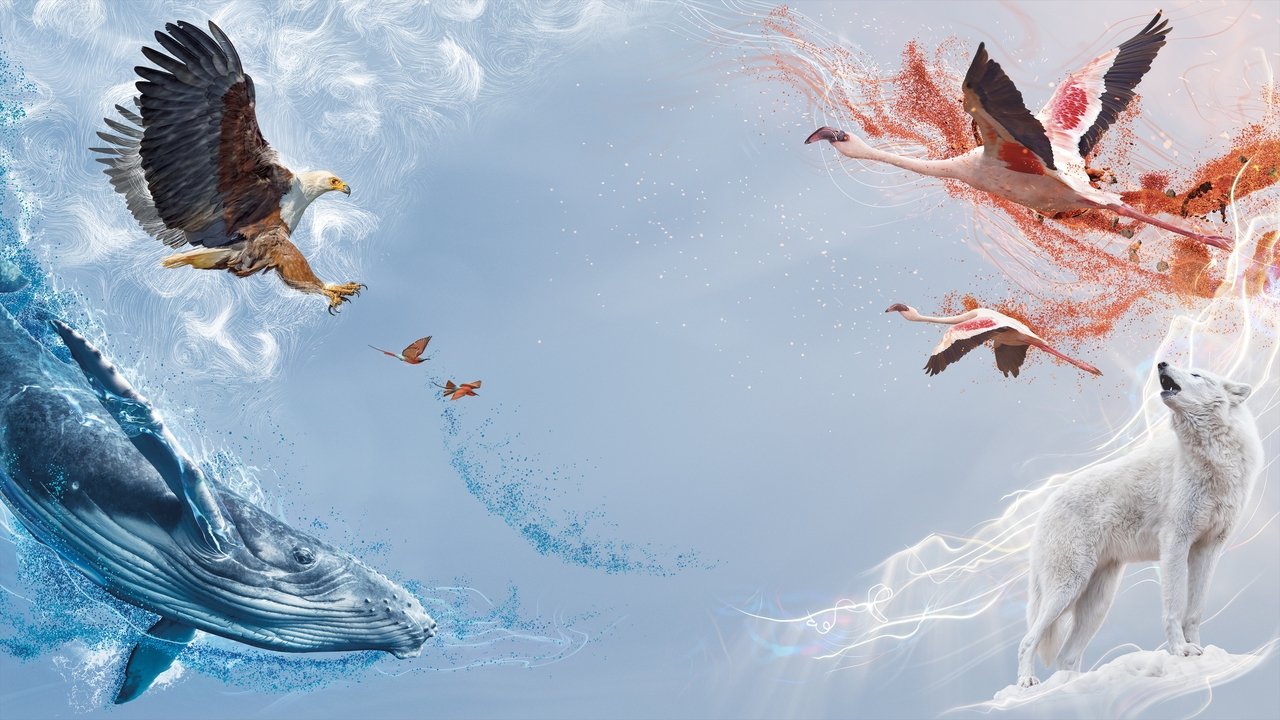 A Perfect Planet İzle