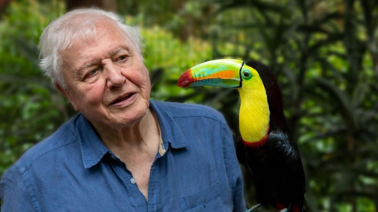 Attenborough’s Life in Colour İzle