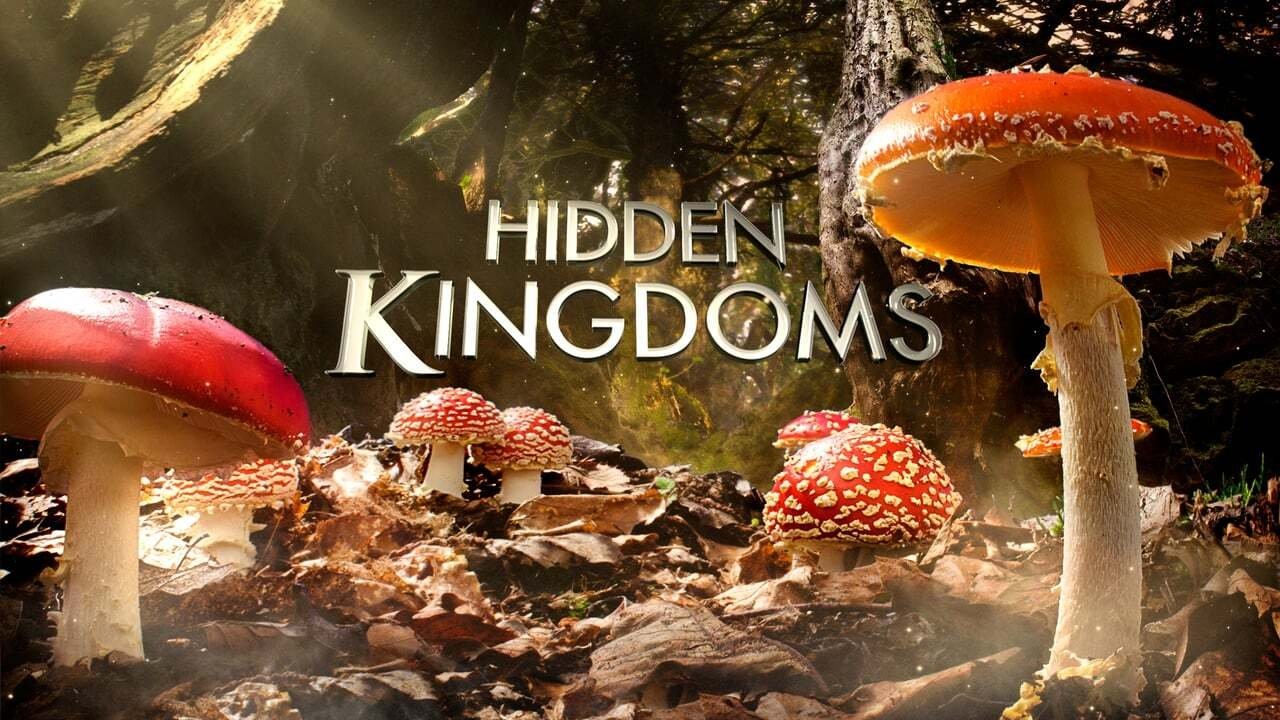 Hidden Kingdoms İzle