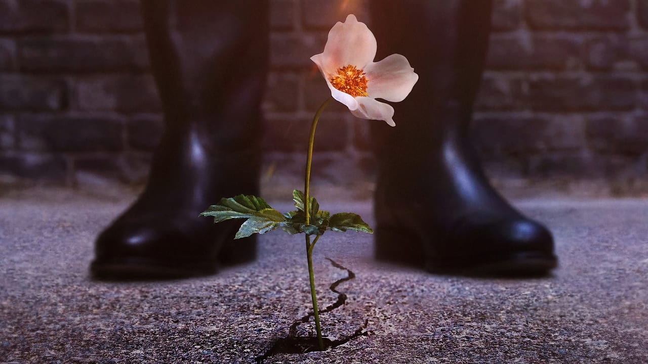 The Man in the High Castle İzle